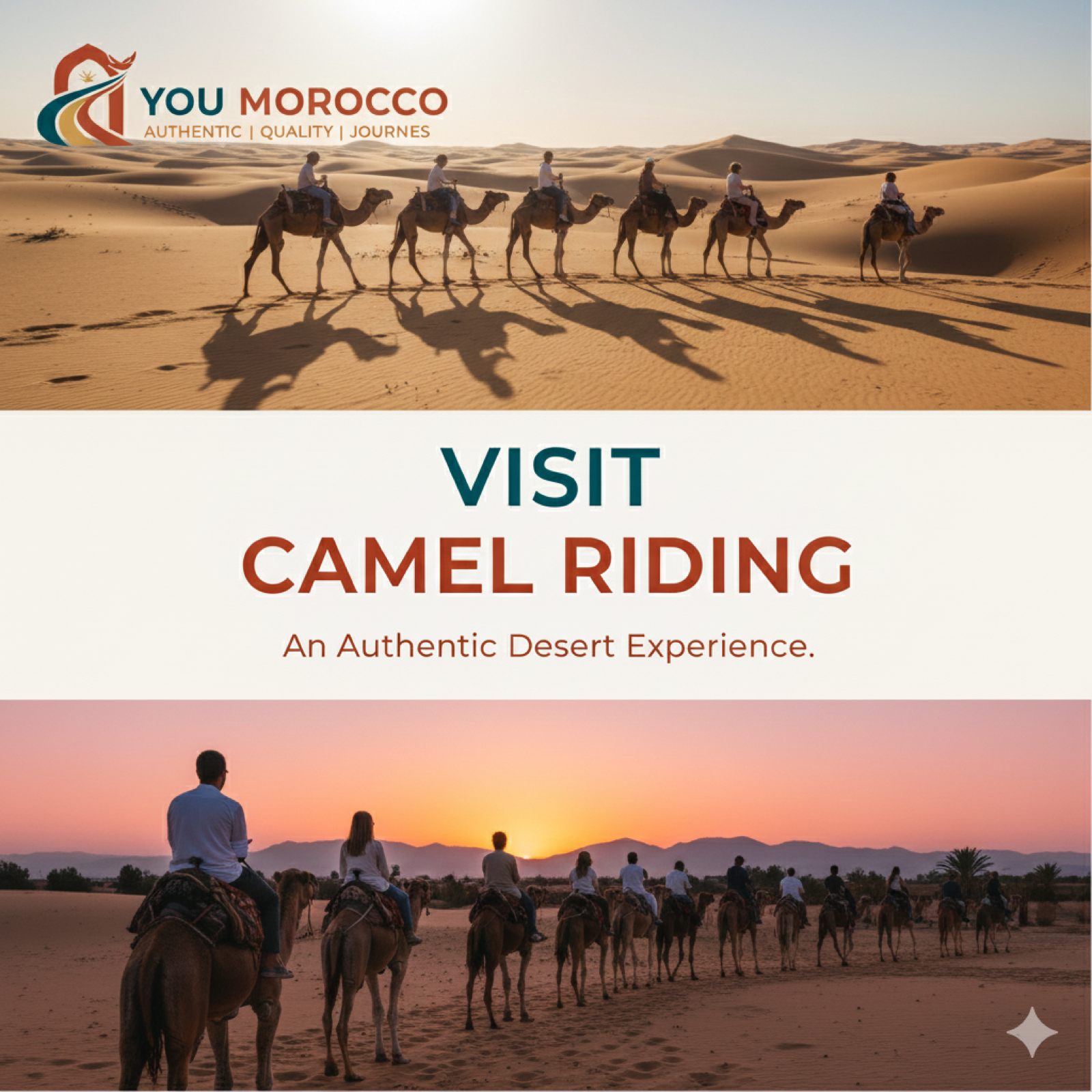Camel Riding Activity In Morocco
