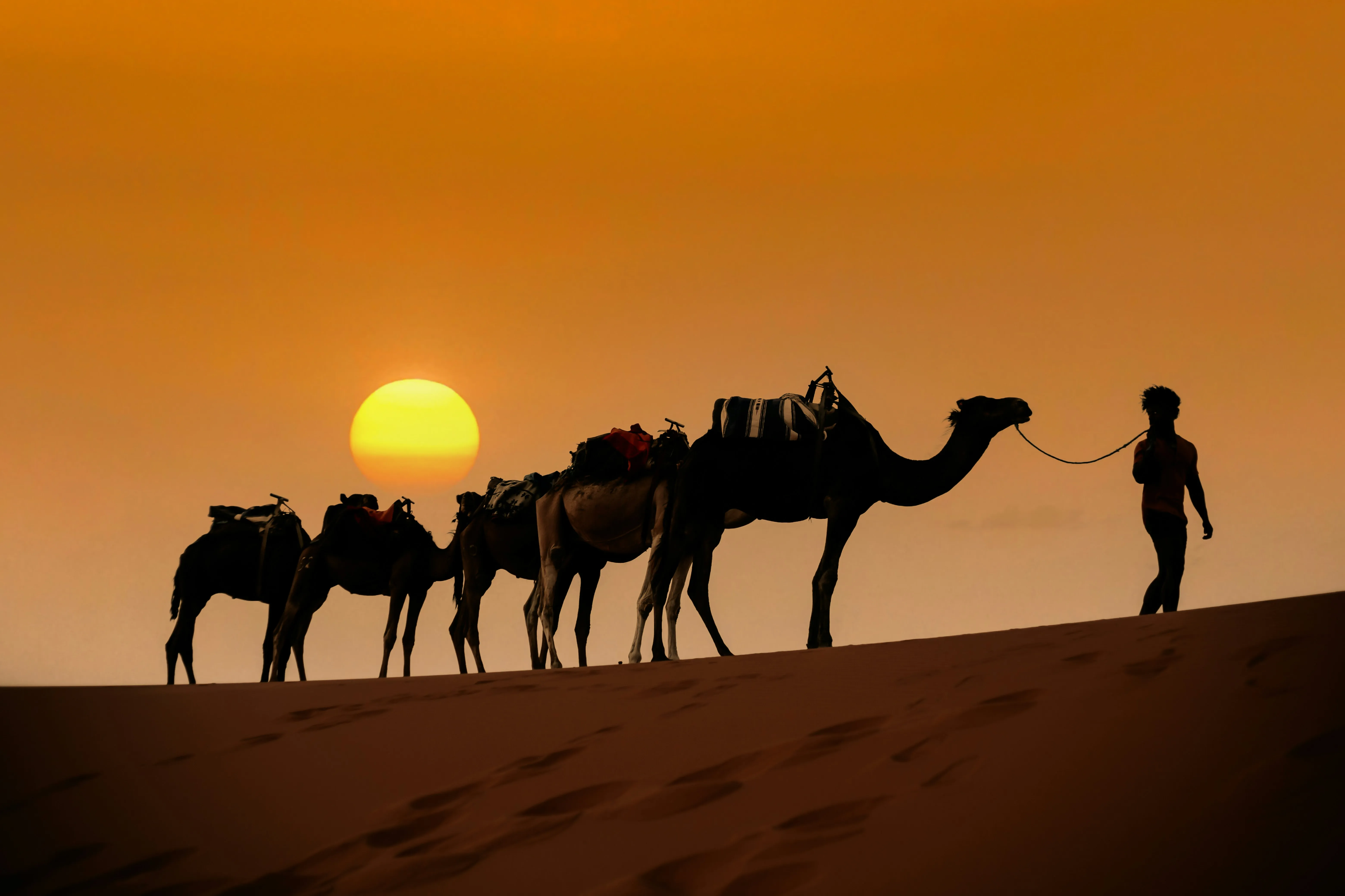 book morocco desert trip