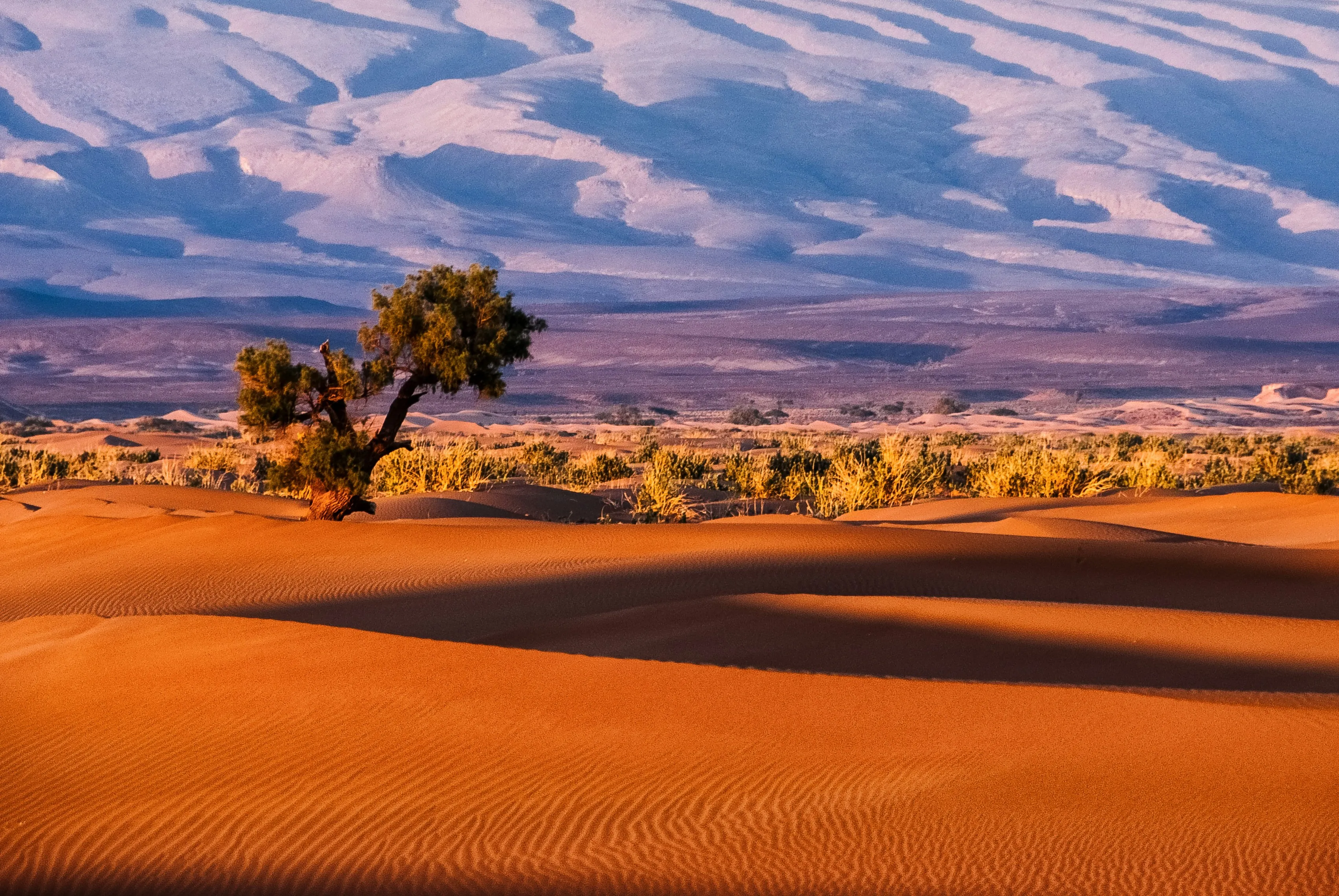 visit Morocco desert